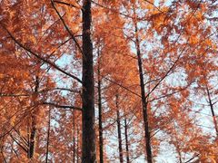 -浙江农林大学(东湖校区)