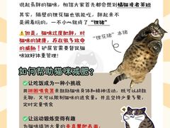 -翊宠yipet猫狗购宠庄园犬舍•猫舍