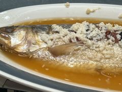 酒香蒸鲥鱼-新南华大酒店(长寿店)