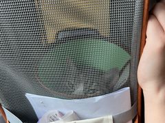 -乐派堂宠物医院·猫友好· 心脏科(东街店)