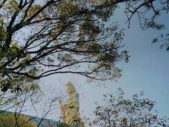 -普陀山慧济禅寺