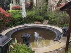 -苏州湾·王焰温泉