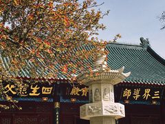 -天津大悲禅院