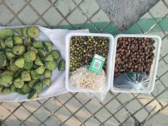 -云碧峰国家森林公园