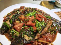 -生态苑农庄(十里画廊遇龙河店)