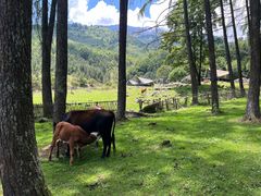 -硗碛藏寨·神木垒景区