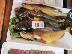 -野妹火锅(龙岗店)