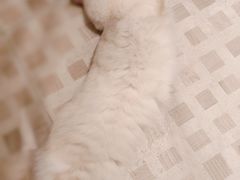 -seeu coffee(江滩店)