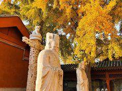 -北京石刻艺术博物馆(五塔寺)