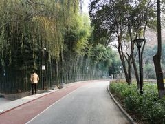 -西安市长乐公园