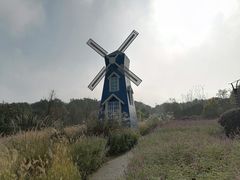 -铁山坪森林公园