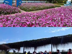 -长廊欢乐园