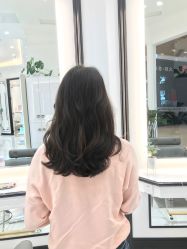-YESIDO椰岛造型