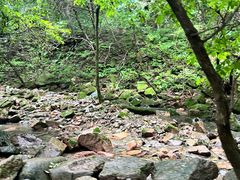 -本溪汤沟绿石谷森林公园