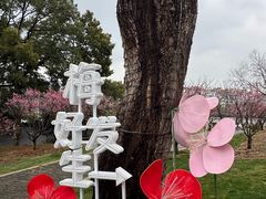 -无锡梅园公园