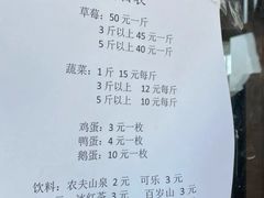 -甜心庄园·甜心草莓采摘园(西青中北店)
