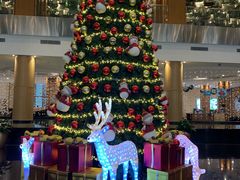 -青岛海尔洲际酒店