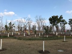 景点-上海长兴岛郊野公园