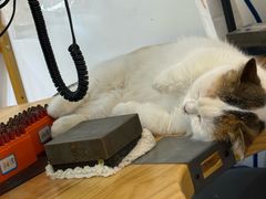 -大悦城(沈阳中街店)