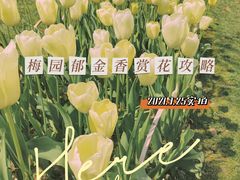 -无锡梅园公园