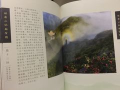 -姑婆山森林酒店