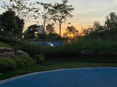 -映月湖公园