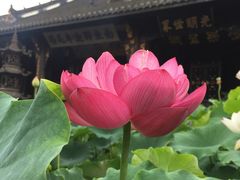 -宝光寺