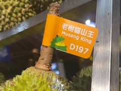 -榴莲BB 四季果园