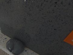 -半岛宠物医院24小时(白果林店)