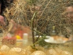 -富瑶大酒店(强工二街店)