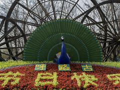 -呀路古热带植物园