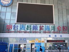 -烟台海昌鲸鲨海洋公园
