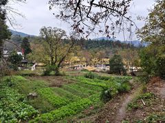 -塔川景区