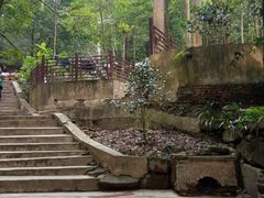 -都江堰普照寺
