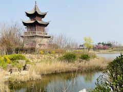 -唐岛湾公园