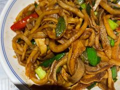 -壹盏灯(惠农店)