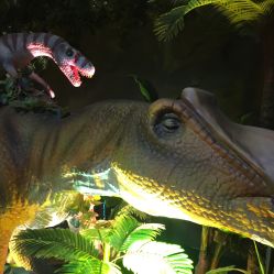 -恐龙探索乐园(磁器口店)