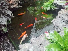 -白天鹅宾馆·流浮阁咖啡厅