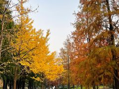 -上海山野camping·户外天幕烧烤·团建拓展营地