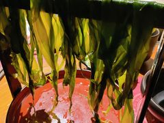 海带芽-原牛道·潮汕围炉火锅(讯美店)