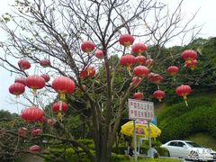 -广州市帽峰山景区