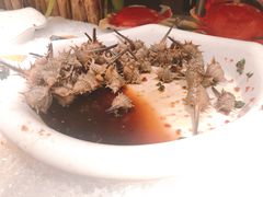 -芭菲盛宴·环球美食(北城国际店)