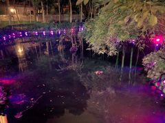 -二荆条·蜀鲜汇城市森林火锅