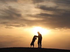 -亿利库布其七星湖沙漠生态旅游区