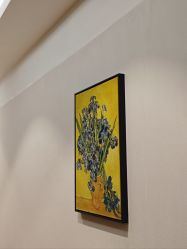 -上海薇琳医疗美容医院