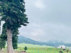 -新疆那拉提国家旅游度假区