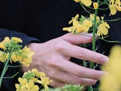 -八卦田遗址公园