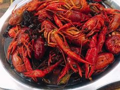 -大孩龙虾(体育场旗舰店)