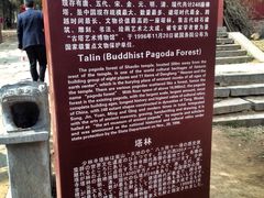 -少林寺景区