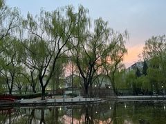 -玲珑塔公园